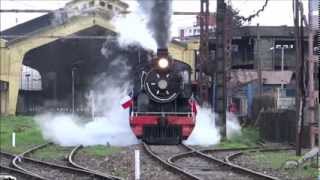 Viajando en el Tren de la Araucania [upl. by Rollie611]