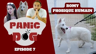 Chien PHOBIQUE des humains  PANIC DOG Ep7 [upl. by Phina]