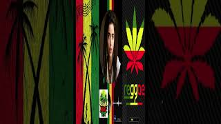 Reggae Riddim  Reggae Beats  Reggae Music reggaebeats reggaevibes [upl. by Notsag]