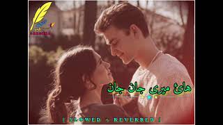 Hay Meri Jan Jan Pashto Mast Viral Song   Slowed  Reverbed [upl. by Cornall491]