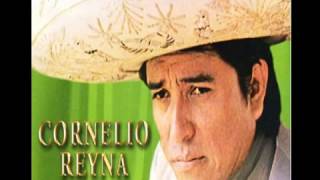 Cornelio Reyna Solo Mix [upl. by Olin]