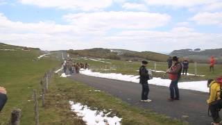 Transhumance Aubrac 2013 [upl. by Eitteb]