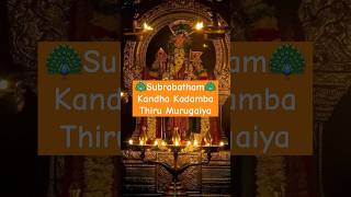 🦚Subrabatham🦚Kandha Kadamba Thiru Murugaiya murugan song tamilgod thiruchendur murugantunai [upl. by Toth]