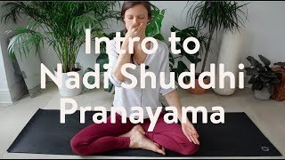 Intro To Nadi Shuddhi Pranayama [upl. by Acirehs]