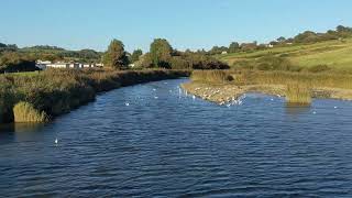 River Char at Charmouth Dorset [upl. by Enilra]