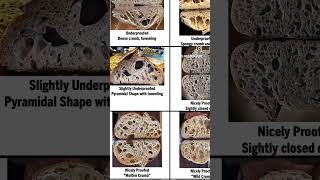 How to read your sourdough loaf crumb  sourdough fermentation  over or underproofed [upl. by Oah]