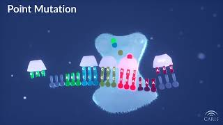 Difference Between Point and Frameshift Mutations  Central Principles of Molecular Biology [upl. by Ozen]