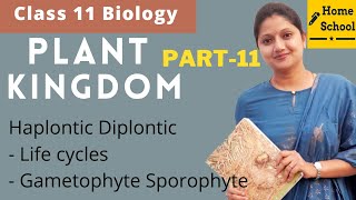 Plant kingdom  Class 11 Biology  Haplontic Diplontic  Part 11 [upl. by Nwahsaj]