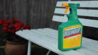 Roundup 1L Ready to Use  Video  Roundup Weedkiller [upl. by Sucul]