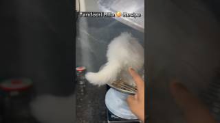 Tandoori Cat Recipe 😋  Snowbell The Comedy Billa 😂 shorts cat catlover funnyshorts [upl. by Latricia906]