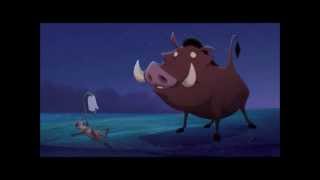 el rey leon 3  Pumba no tiene hogar [upl. by Bumgardner]