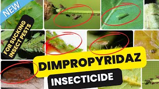 Dimpropyridaz Insecticide Effective Control of Sucking Pests in Crops [upl. by Ansev]