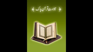 Beautiful Tilawat e Quran [upl. by Adnana367]