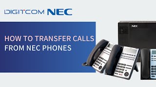 How to transfer calls from NEC phones [upl. by Tiffani]