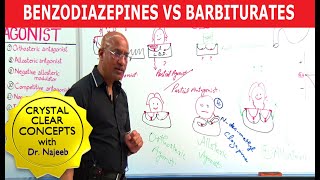 Benzodiazepines Vs Barbiturates  Pharmacology  Dr Najeeb Lectures [upl. by Northey]