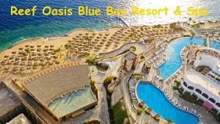 Египет 2017 Reef Oasis Blue Bay Resort amp Spa 5 Шарм Эль Шейх [upl. by Demona260]