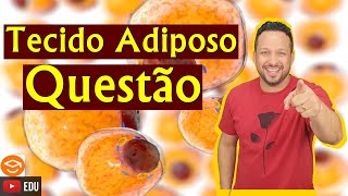 Questão  Tecido Adiposo  Tecidos Conjuntivos  Histologia Animal [upl. by Dud980]