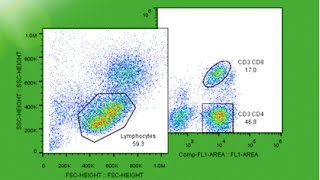 Advanced Topics in Cell Sorting [upl. by Htbazile]