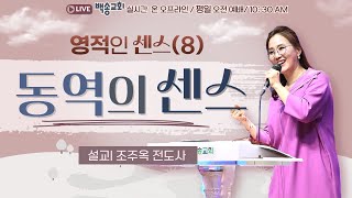 백송교회 실시간 온라인 금요 오전 예배 영적인 센스8 동역의 센스  조주옥 전도사 20241108 [upl. by Estell648]