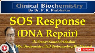 SOS Response Mechanism [upl. by Inan252]