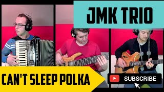 JMK trio  Ne morem spat´  Can´t sleep polka [upl. by Enutrof735]