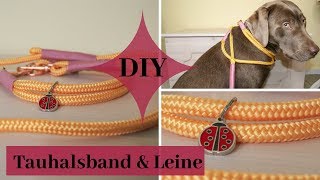 DIY  Einfaches Tauhalsband mit Leine [upl. by Mcbride]