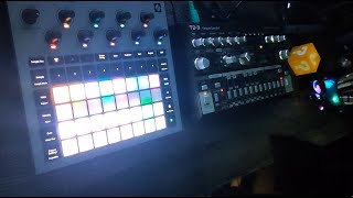 Novation Circuit Rhythm vs TD3 by INKORREKT  Hard Acid Trance  Tekno [upl. by Arahsit923]