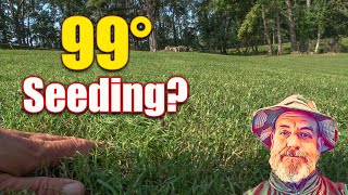 Lawn Seeding Tips  Full Week of Seeding Everything [upl. by Eelam]