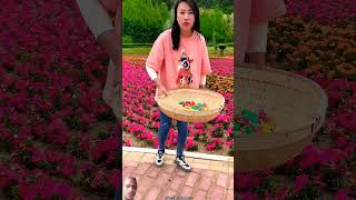 Asha24 funny comedyfilms video facts fruit funnycomedy [upl. by Seiuqram141]