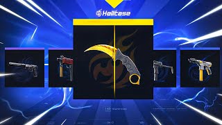 CRAZYY PULL ON HELLCASE  HELLCASE PROMO CODE 2024 [upl. by Kerril]