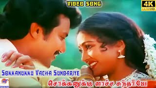 Sokkanukku Vacha SundariyeSuper Hit Tamil Love Duet Video Song [upl. by Derrek]