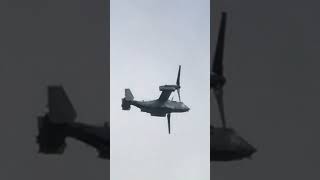 My first ever osprey Filmed flying over beccles airfield 170924 [upl. by Pejsach]