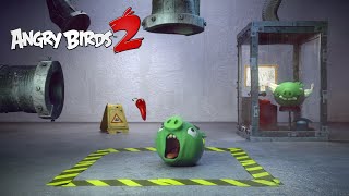 Angry Birds 2 – Test Piggies The Chili [upl. by Dumas541]