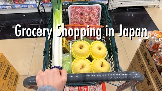 Shopping Trips Compilation🎵supermarket Daiso drug store goodies shop in Japan [upl. by Kalle]