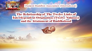 12 Links of Interdependent Origination amp Attainment of Buddhahood Origin of Sentient Beings [upl. by Anailuy887]