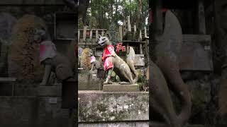 Fushimi Inari Shrine Kyoto [upl. by Shermie]