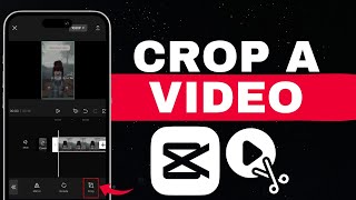 How To Crop Video In CapCut  Transform Video using CapCut App 2024 [upl. by Nylidnarb856]