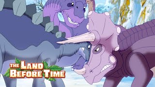 Choosing Between Family And Friends  Full Episode  The Land Before Time [upl. by Kurth]