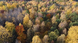 Bajkowa jesień na Warmii [upl. by Suriaj125]