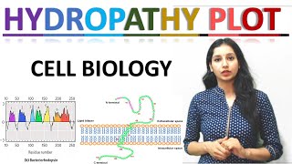 Hydropathy Plot I Cell Biology I Hydropathy Index I CSIRNET I GATE I TIFR I ICMR I ICAR I DBT I IIT [upl. by Crystie]