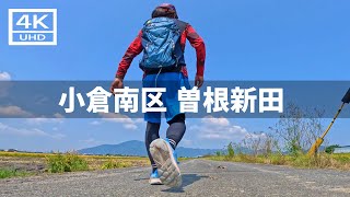 【2024年9月3日】小倉南区 曽根新田周辺を歩いてみた [upl. by Florian728]