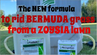 The new formula to remove Bermuda grass from a Zoysia lawn [upl. by Jacenta937]