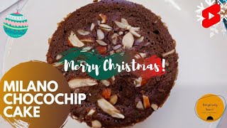 Milano Chocolate 🍫 Chip 🍟 Cake Eggless Christmas 🎄Cake shorts shortsvideo biscuitcake [upl. by Sondra]