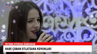 TATYANA MITIOGLU HABE ÇOBAN OTLATSANA KOYUNLARI [upl. by Etyam132]