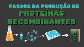 Como Produzir Proteínas Recombinantes [upl. by Jorin99]