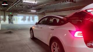 Tesla Model Y 44302 Update  quotThe Arrivalquot Light Show [upl. by Crellen971]