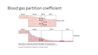 Pharmacokinetics series 8  inhalational anaesthetic kinetics [upl. by Agatha]