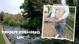 4K Trout Fishing experience in UK  Trout Farm [upl. by Clova]