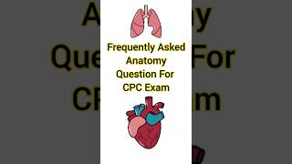 Frequently Asked Anatomy Question For CPC Exam  Medical Coding  Human Anatomy And Physiology cpc [upl. by Yesnnyl]