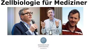 Vorlesung Zellbiologie für Mediziner Teil 9  Endoplasmatisches Retikulum [upl. by Herstein]